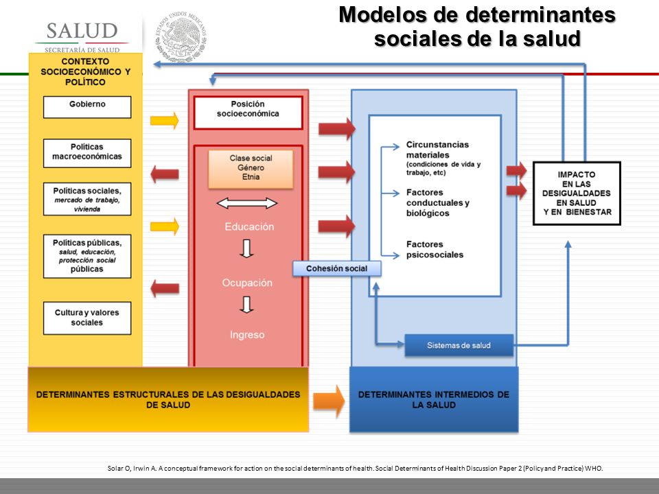 DETERMINANTES DE LA SALUD OMS DOWNLOAD DETERMINANTES DE LA SALUD OMS DOWNLOAD